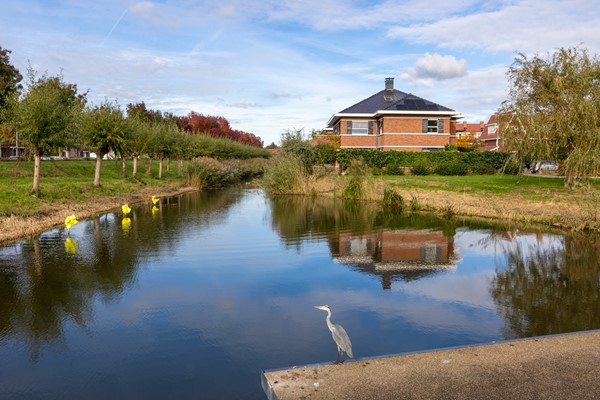 Medium property photo - Boekelermeerstraat 10, 2493 XH The Hague